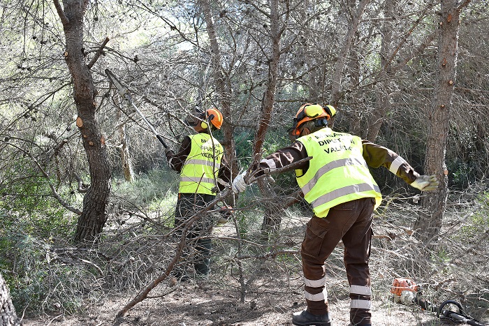 Abierta la convocatoria de empleo de 47 plazas de brigadistas forestales