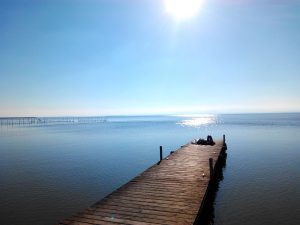 Valencia busca garantizar la cantidad y la calidad del agua de l’Albufera